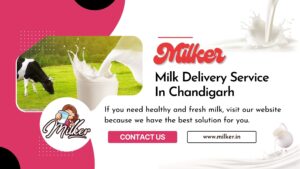 Milk Delivery Service In Chandigarh